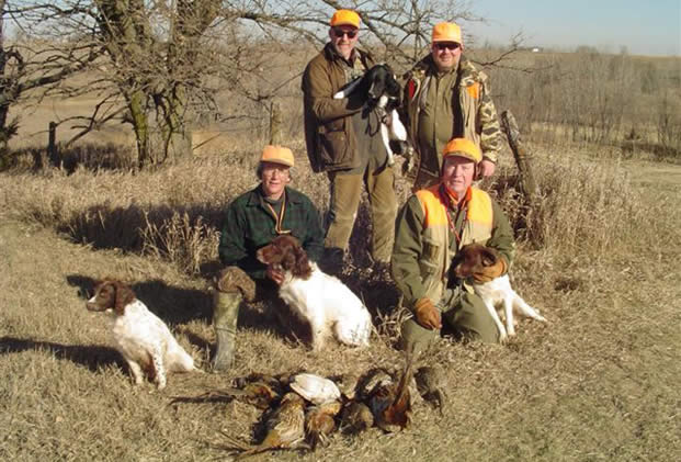 hunting springer spaniel breeders